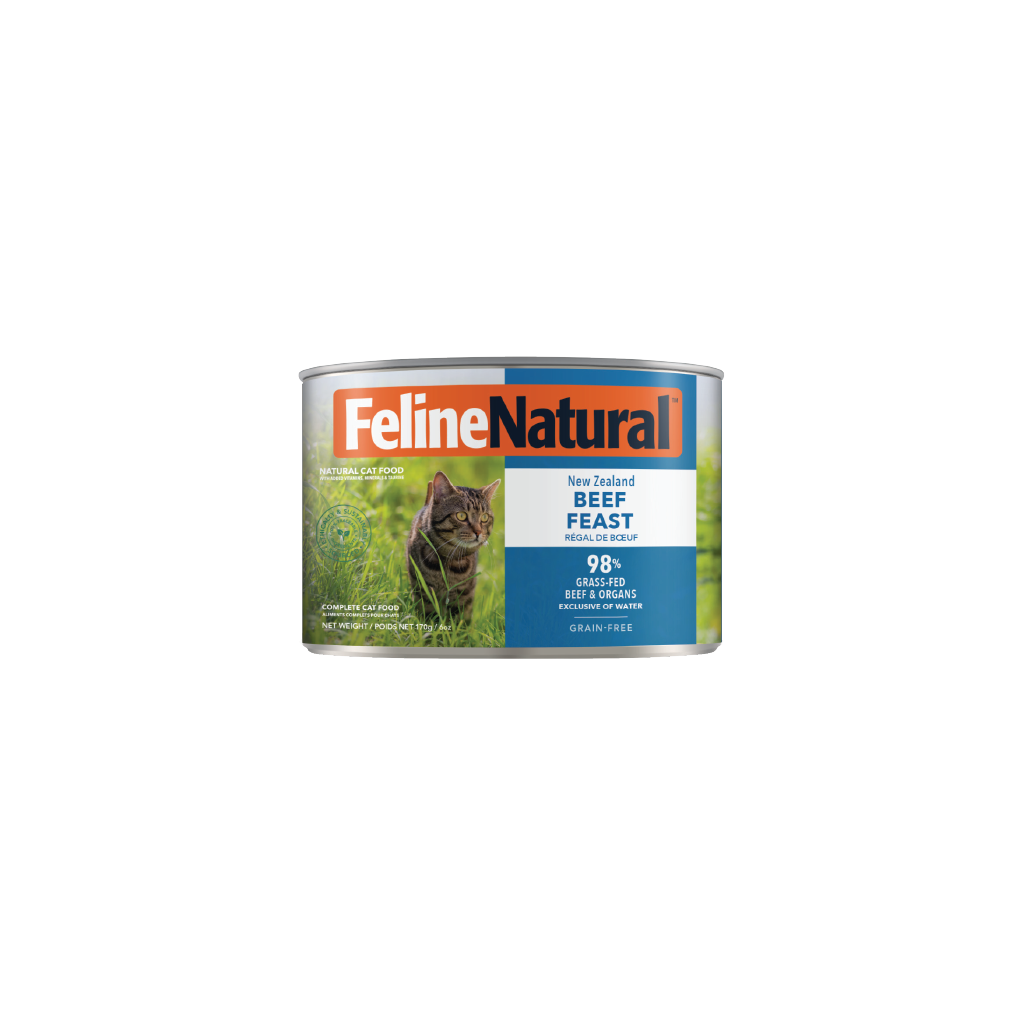 Feline Natural Beef Feast Canned Cat Food 12 × 170g cans; can shown, sold as 12-pack